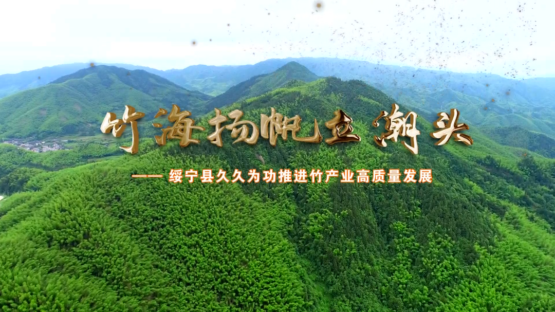 视频 | 竹海扬帆立潮头！看绥宁县如何推进竹产业高质量发展？