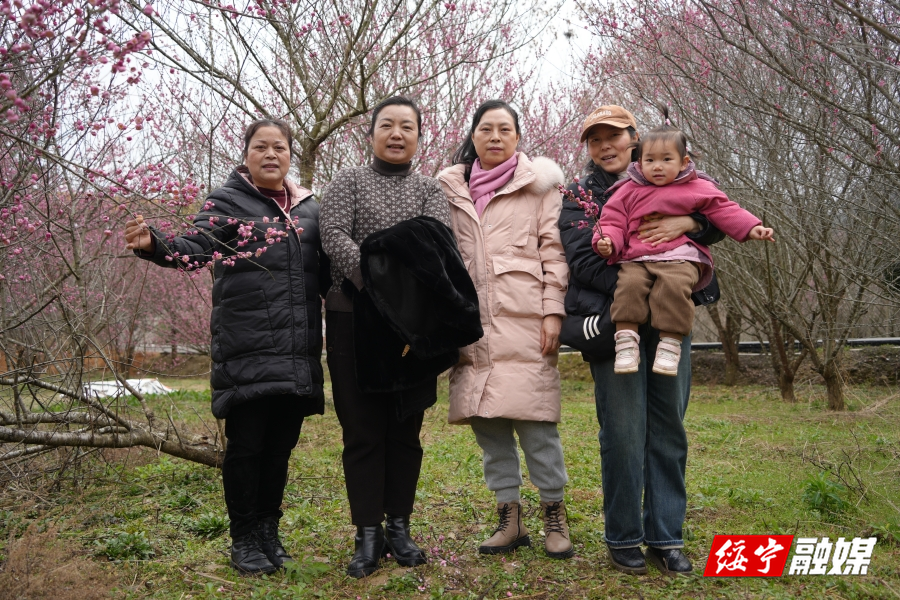 绥宁：晴日暖照 花园阁梅花引客来
