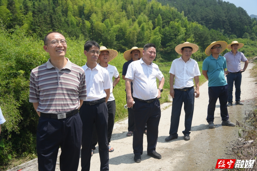 省农业农村厅赴绥宁督查调研制种大县奖励资金使用推进工作