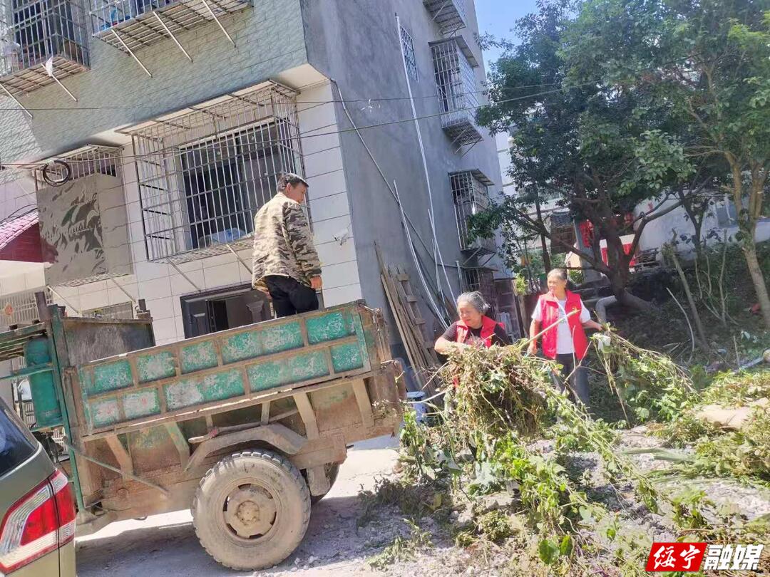 【文明城市建设进行时】大公坪社区：整治环境乱象 助推文明建设