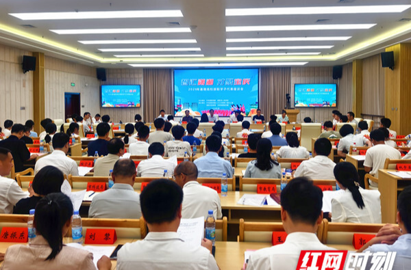 时刻观察｜对话青春力量：一场座谈会背后的邵阳“人才密码”