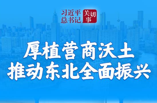习近平总书记关切事｜厚植营商沃土推动东北全面振兴