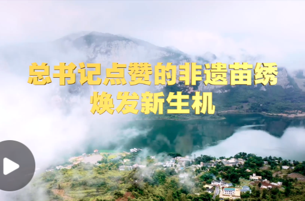 学习·知行丨总书记点赞的非遗苗绣焕发新生机