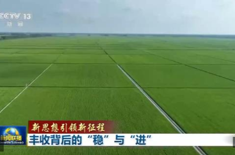 新思想引领新征程丨丰收背后的“稳”与“进”