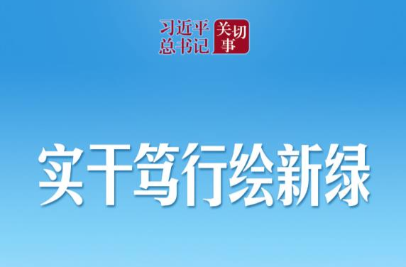 习近平总书记关切事｜实干笃行绘新绿