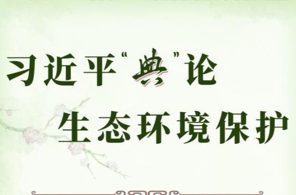 良法善治·回响｜习近平“典”论生态环境保护