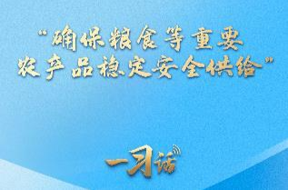 一习话丨“确保粮食等重要农产品稳定安全供给”