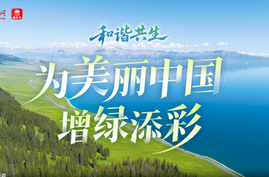 和谐共生｜为美丽中国增绿添彩