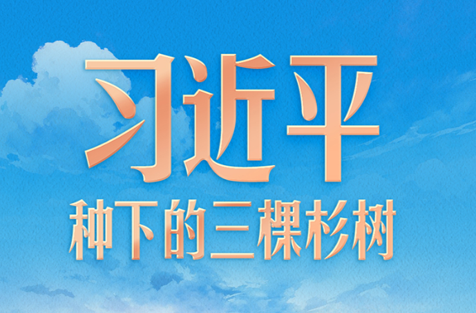 习言道｜习近平种下的三棵杉树