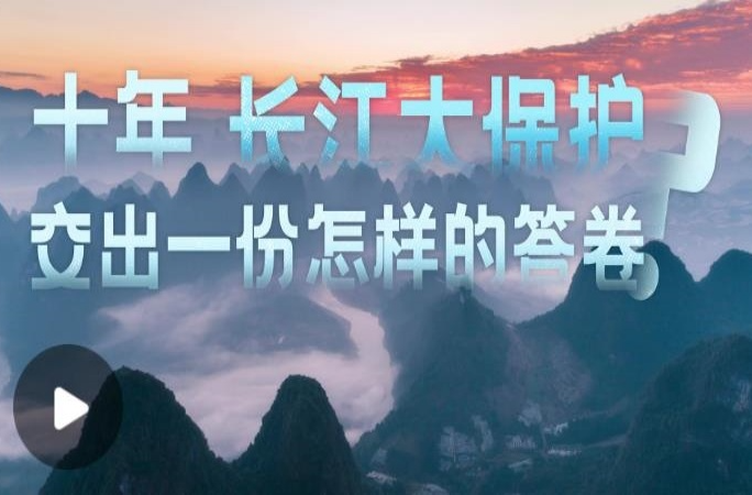 和谐共生丨长江的答案