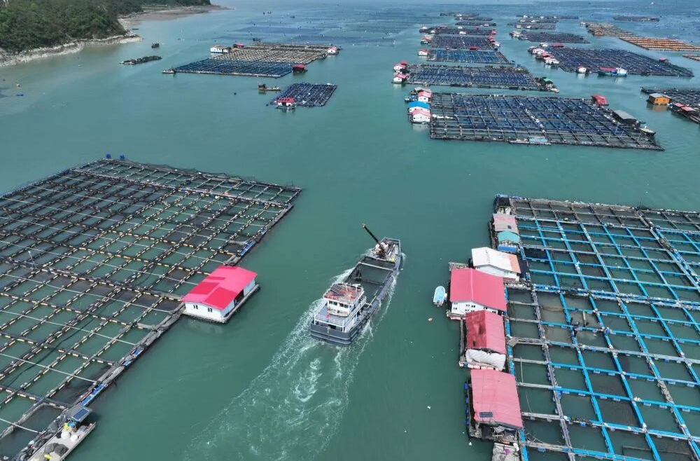 中国推动扩大消费一线新观察