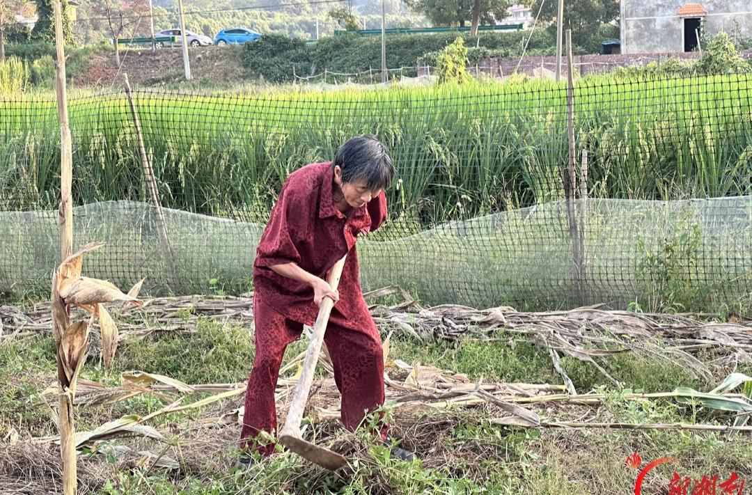 衡阳独臂老人替去世的儿子还清欠款，获评全国“诚信之星”