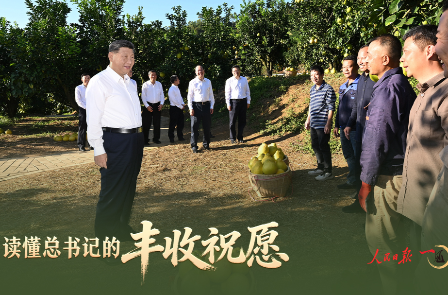 一见·读懂总书记的丰收祝愿