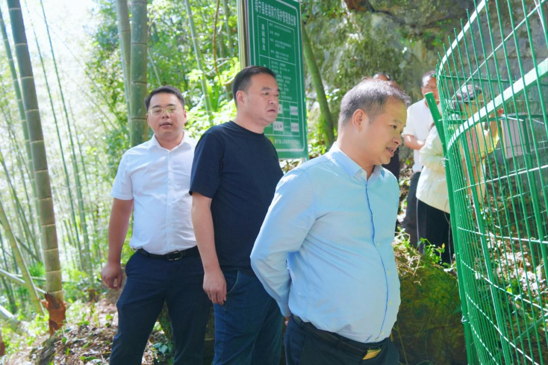 贺源到绥宁调研溶洞排查治理工作