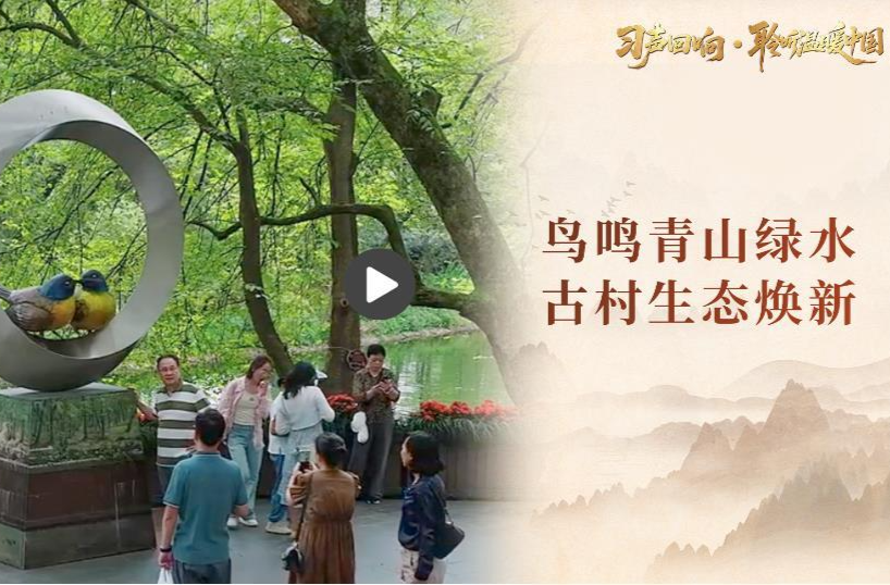 【习声回响·聆听温暖中国】鸟鸣青山绿水 古村生态焕新
