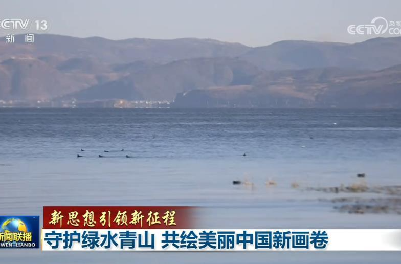 【新思想引领新征程】守护绿水青山 共绘美丽中国新画卷