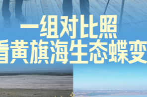 拾光纪·一组对比照，看黄旗海生态蝶变